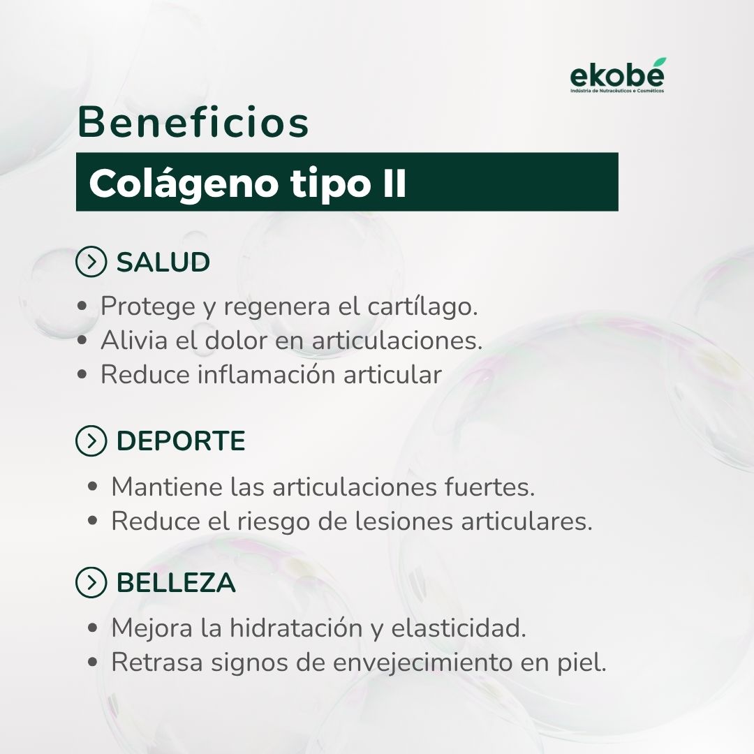 Colágeno Tipo II No Desnaturalizado + Vitamina C y E | Fórmula Avanzada Articular