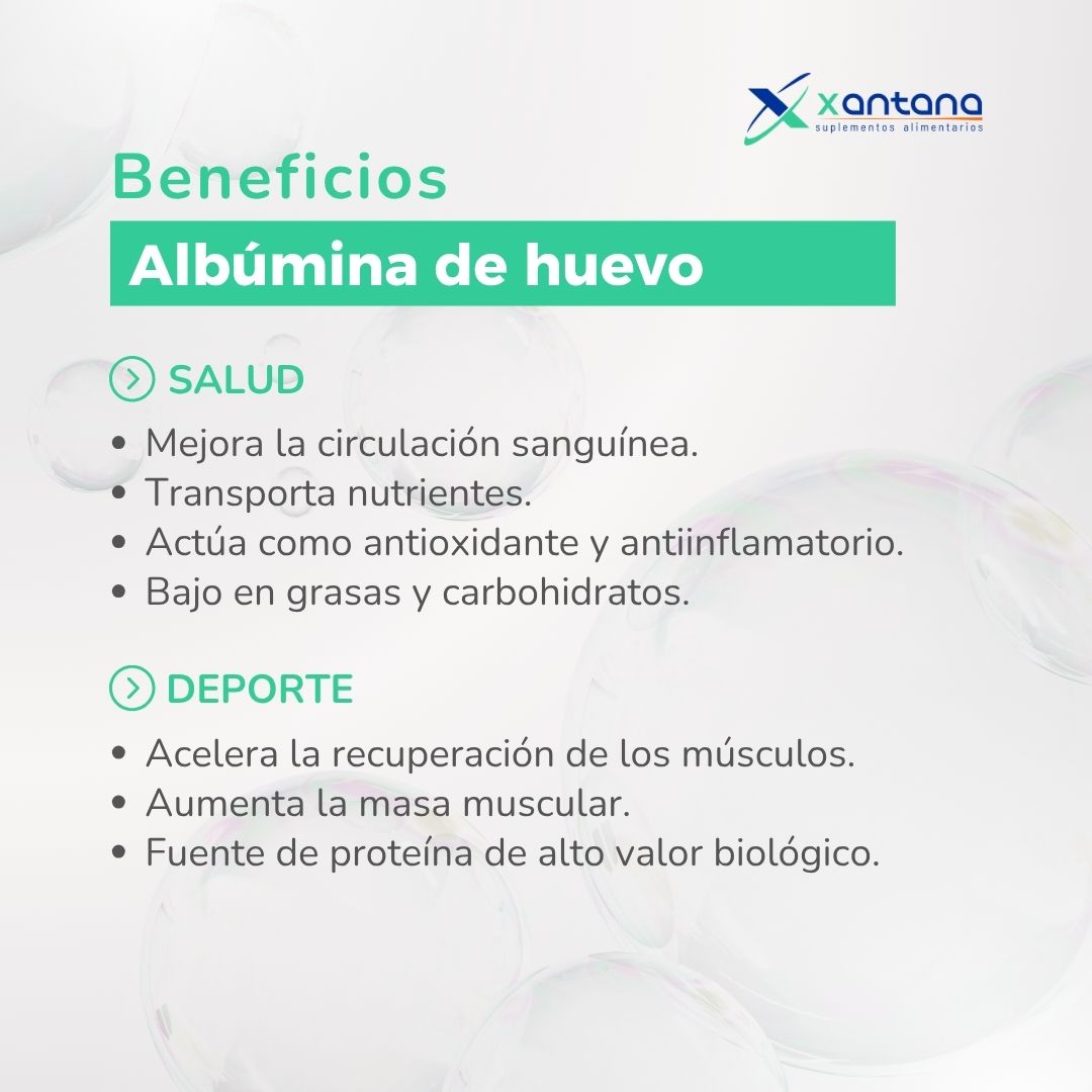 Albumina de huevo